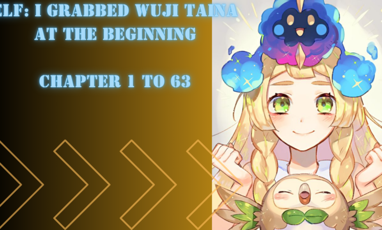 Elf: I grabbed Wuji Taina at the beginning