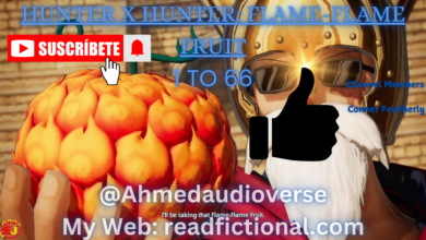 Hunter x Hunter: Flame-Flame Fruit