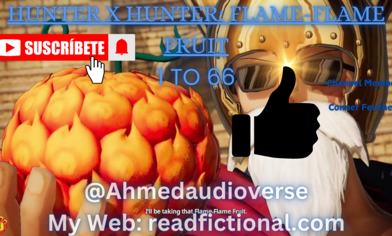 Hunter x Hunter: Flame-Flame Fruit