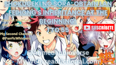 Shokugeki no Sora: Obtain Lan Feihong's inheritance at the beginning!