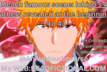 Bleach famous scene: Ichigo's 4 fathers revealed at the beginning